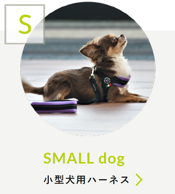 SMALL dog 小型犬用ハーネス